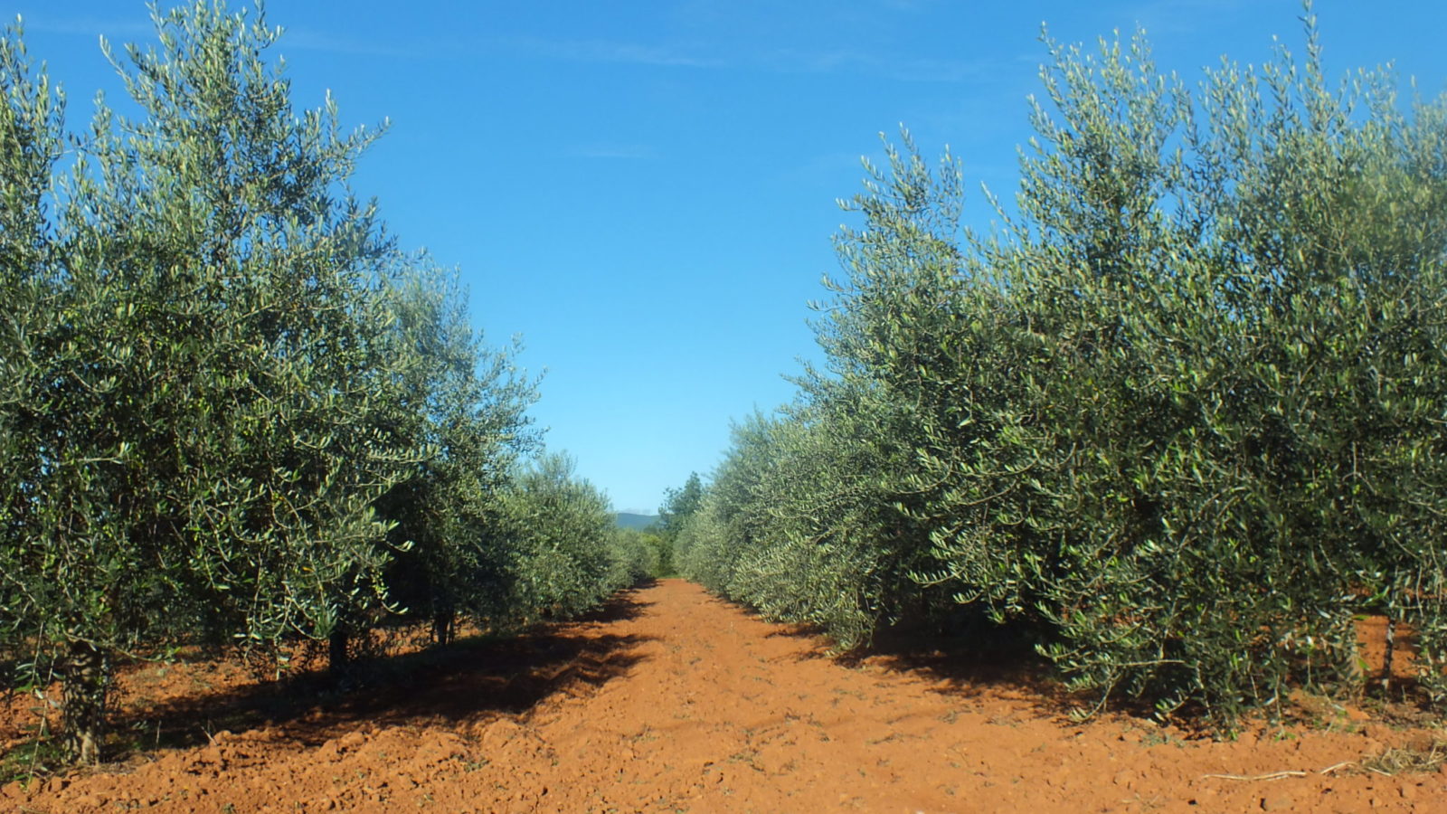 Rencontrez les producteurs