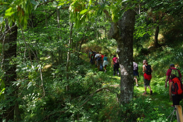 Les randonnées accompagnées
