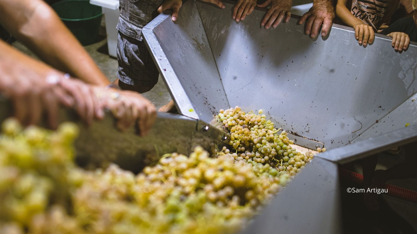 Expériences Uniques à vivre…