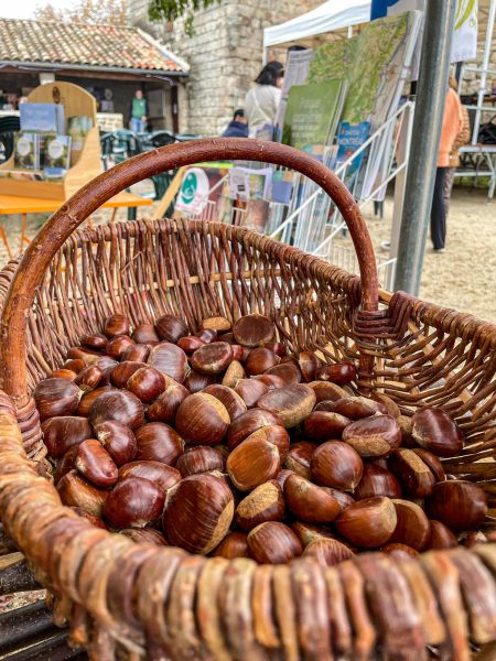 Vos vacances de la Toussaint 2024 !