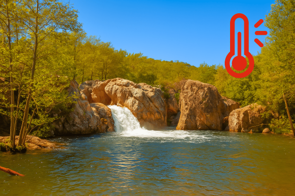 Que faire en cas de forte chaleur ?