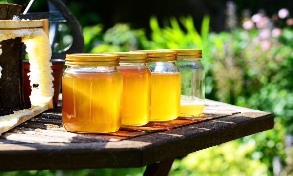 Apiculture  : à la rencontre des producteurs de miel du Val de Ligne