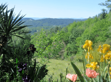 Jardin du Mas de T’Aï