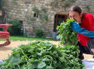 Les Z’Herbes folles