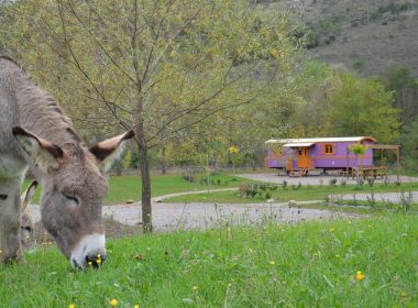 Les Roulottes d’Ardèche – Mériva