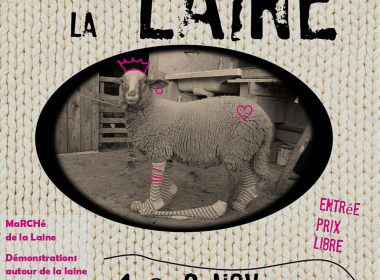 Faites de la Laine!