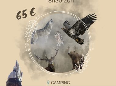 Soin chamanique au tambour et animaux Totems