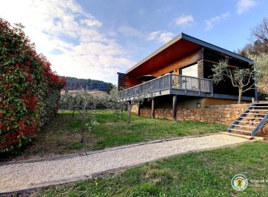 Bonjour Soleil-Picholine