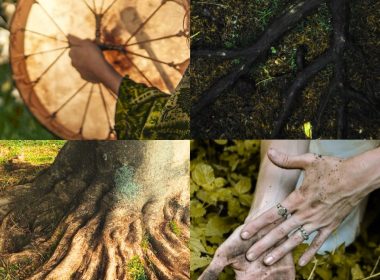 Retraite : Naissance de tambour & vertus des plantes