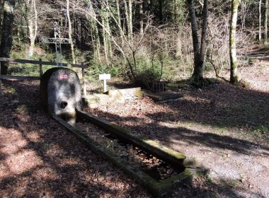 Circuit n°21 : Le sentier des Cades