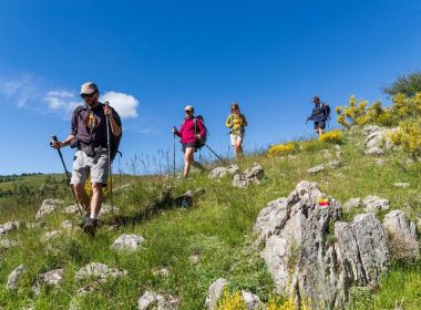 Circuit n°5 : Sur les hauts de Joannas