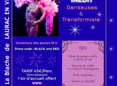 Diner spectacle & soirée dansante