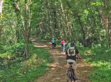 Circuit n°18 : La Tour de Brison