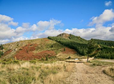 Circuit n°14 : Les panoramas de Prunet
