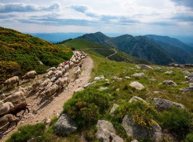 GR® de Pays Tour du Tanargue