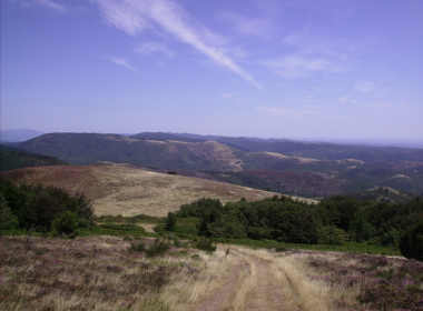 Circuit n°13 : Les chemins de Cannelle