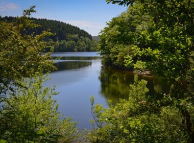 Circuit n°8 : En longeant le Roubreau