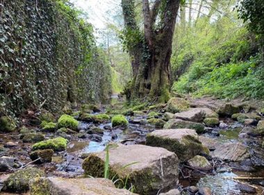 Circuit n°9 : Du Toufache au Blajoux