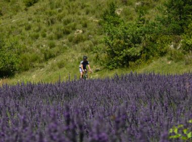Circuit n°7 : Les chemins de ronde
