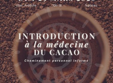 Introduction au soin du cacao