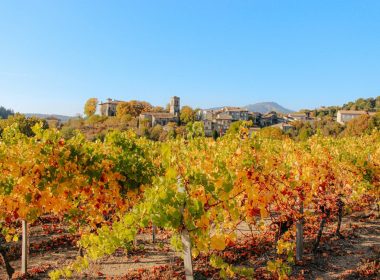 Circuit n°5 : Sur les hauts de Joannas