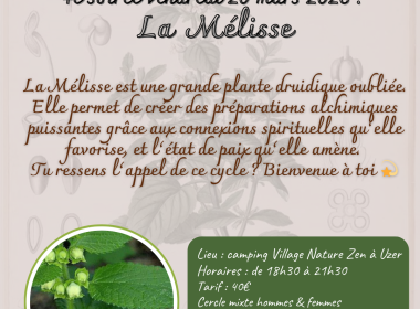 Cycle d&rsquo;apprentissage la magie et les plantes : La mélisse