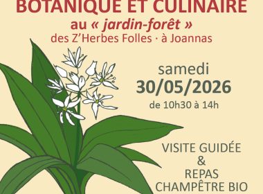 Visite guidée et repas champêtre : Rendez-vous culinaire et botanique
