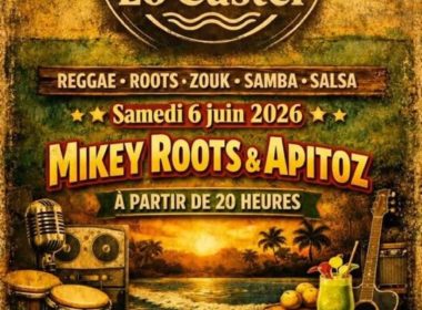 Concert Mikey Roots & Apitoz
