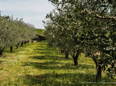 Circuit n°22 : À la découverte du plateau des Gras