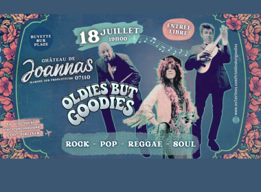 Concert pop, raggae, soul :  Oldies but Goodies Trio