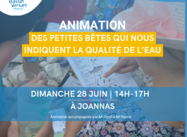 Animation : « Des petites bêtes qui nous indiquent la qualité de l’eau »