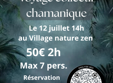 Voyage chamanique