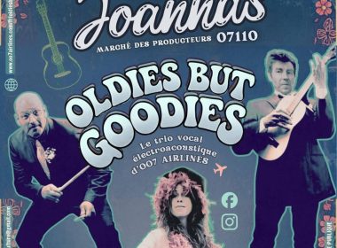 Concert pop, raggae, soul :  Oldies but Goodies Trio