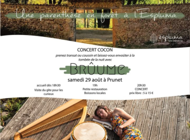Concert : Cocon avec Brûume