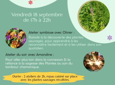 BALADE BOTANIQUE DU SENSIBLE
