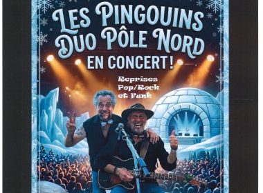 Les Pingouins Duo Pôle Nord en concert