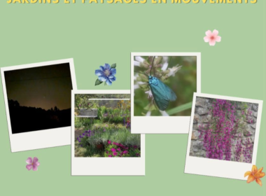 Concours photographie