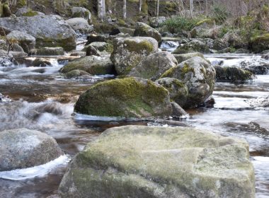 De la Lande à la Ligne, à la découverte de nos petits cours d’eau méditerranéens, entre crues et sécheresses : paysages, usages