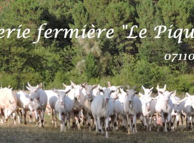 GAEC Le Piqueberle