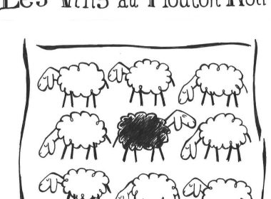 Les Vins Du Mouton Noir